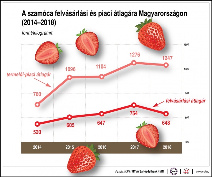 szamoca_ara