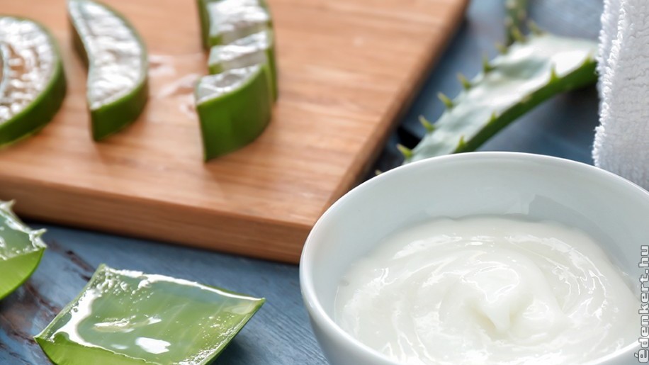 házi anti aging krém aloe verával világegészségügyi anti aging