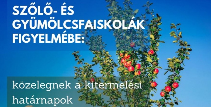 gyumolcsfa_szaporitoanyag gyumolcsfa_szaporitoanyag
