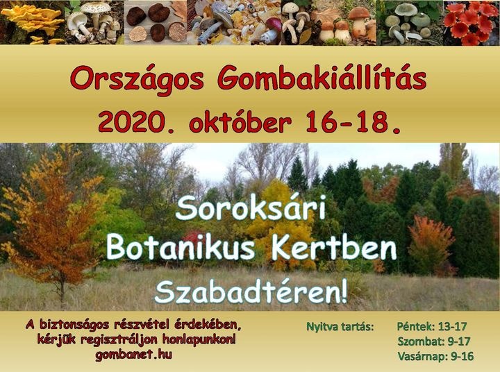 gombakiallitas_2020