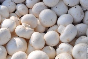 hogyan jelennek meg a férgek