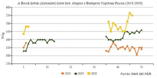 korte_arak_2020