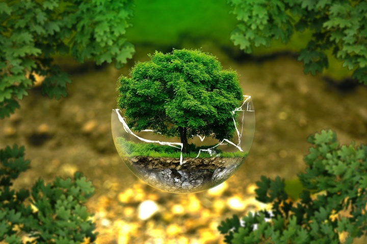 environmental-protection-326923_1920 environmental-protection-326923_1920