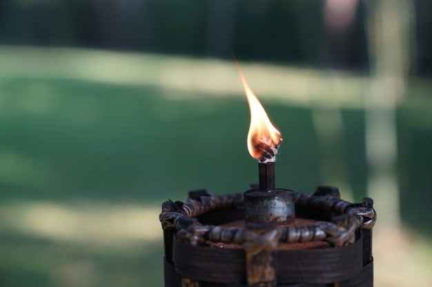 torch-fire-morning-garden_39476-228