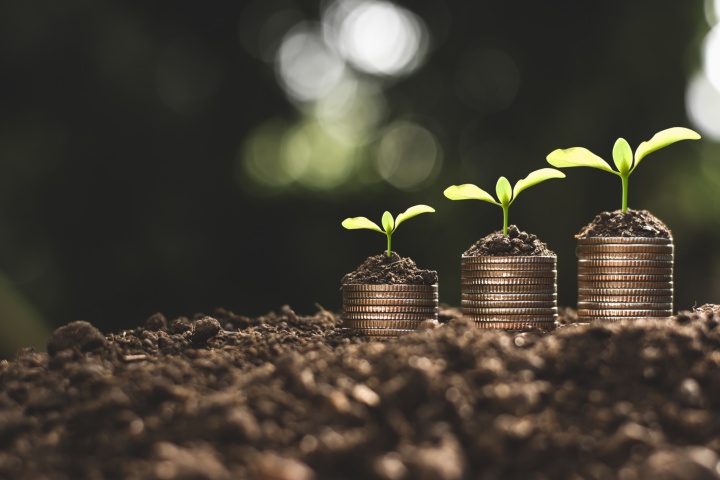 financial-growth-coins-seedling-1