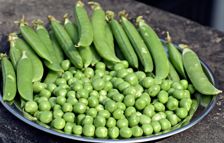 peas-5001525_1920_01