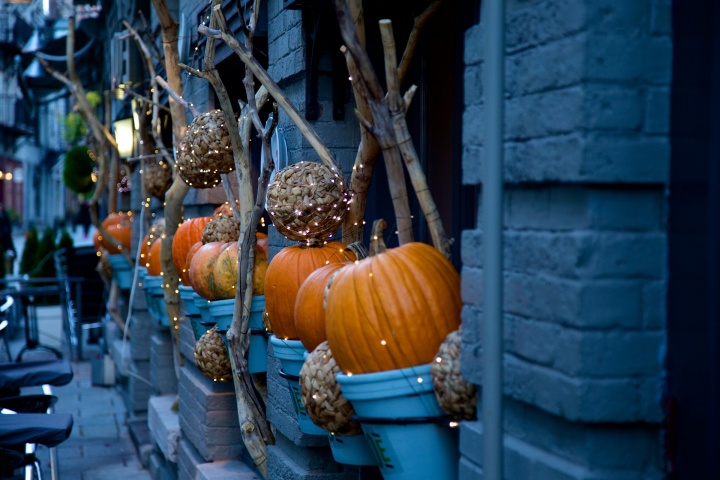 halloween-decorating-2455253_1920