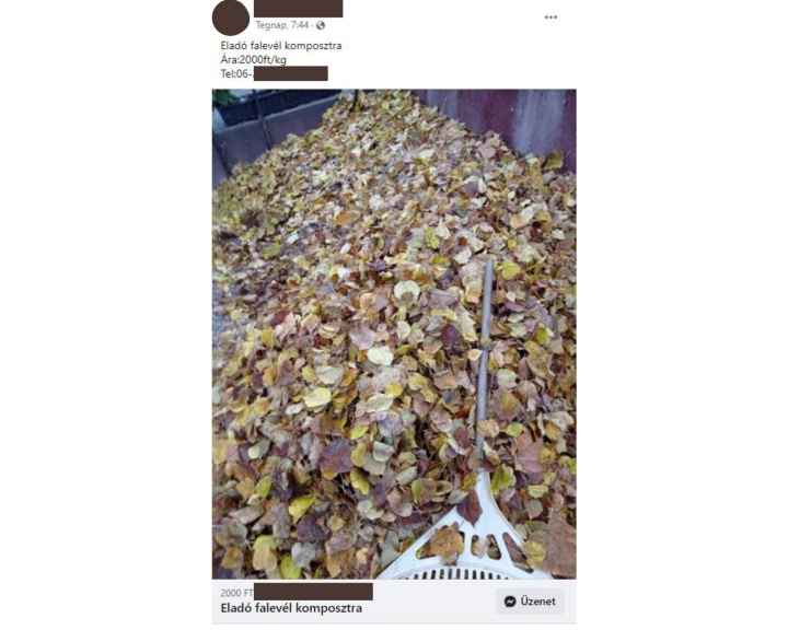 faleveljo faleveljo