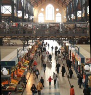 Krizantém: ha ezekre figyelsz, tele lesz virággal