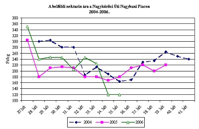 Krizantém: ha ezekre figyelsz, tele lesz virággal