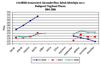 2007. JANUÁR 17.
