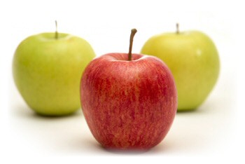 Krizantém: ha ezekre figyelsz, tele lesz virággal