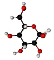 Krizantém: ha ezekre figyelsz, tele lesz virággal