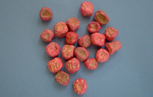 Krizantém: ha ezekre figyelsz, tele lesz virággal