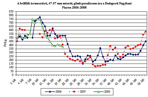 Lassan kikerül a paradicsom a fólia alól