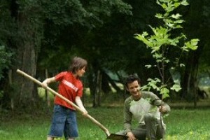 A nyári növényültetés legfontosabb szabályai
