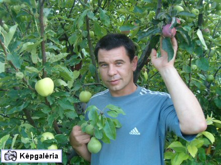 Csodagyümölcsös: 57 fán 300 gyümölcsfajta