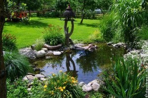 Kerti tó építése: erre figyelj, mert sokan elrontják!