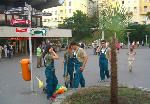 Pálma nőtt a Moszkva téren!