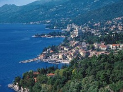 Krizantém: ha ezekre figyelsz, tele lesz virággal