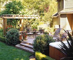 Krizantém: ha ezekre figyelsz, tele lesz virággal