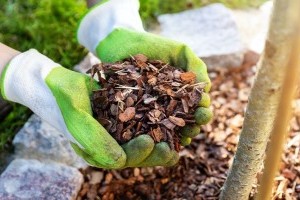 Fedd be a kerted gusztusos takaróval, senki ne mondja, hogy nem gazolsz