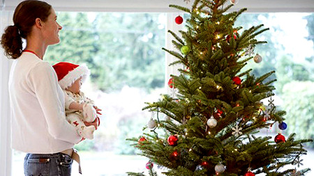 Krizantém: ha ezekre figyelsz, tele lesz virággal