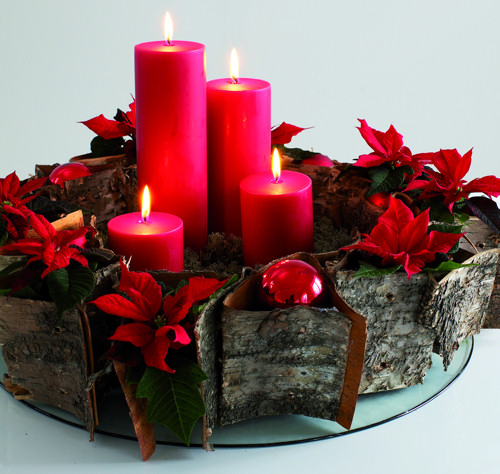 Krizantém: ha ezekre figyelsz, tele lesz virággal