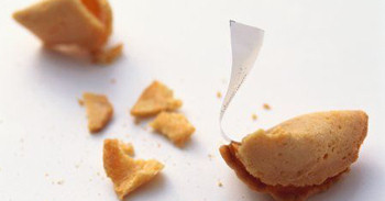 Krizantém: ha ezekre figyelsz, tele lesz virággal