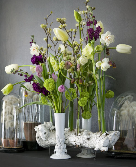 Krizantém: ha ezekre figyelsz, tele lesz virággal