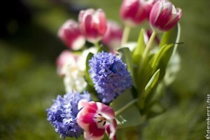 Kreatív vágott virág ötletek!