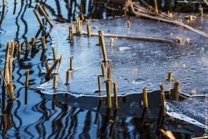 Mit csináljunk, ha befagy a kerti tó?