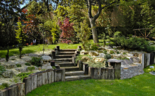 Krizantém: ha ezekre figyelsz, tele lesz virággal