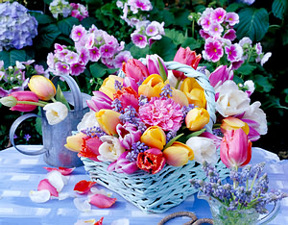 Ragyogó növények társaságában várni a locsolókat