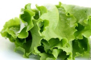 Fejes saláta, a tavasz és szüzesség szimbóluma?