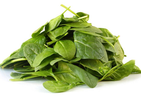 Krizantém: ha ezekre figyelsz, tele lesz virággal