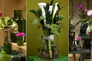 Trendi vágott virágok nyáron: flamingó, kála, dália és a kapor