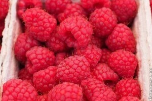 4 könnyű málnás recept