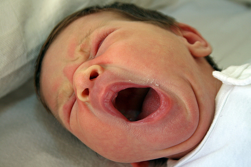 Krizantém: ha ezekre figyelsz, tele lesz virággal