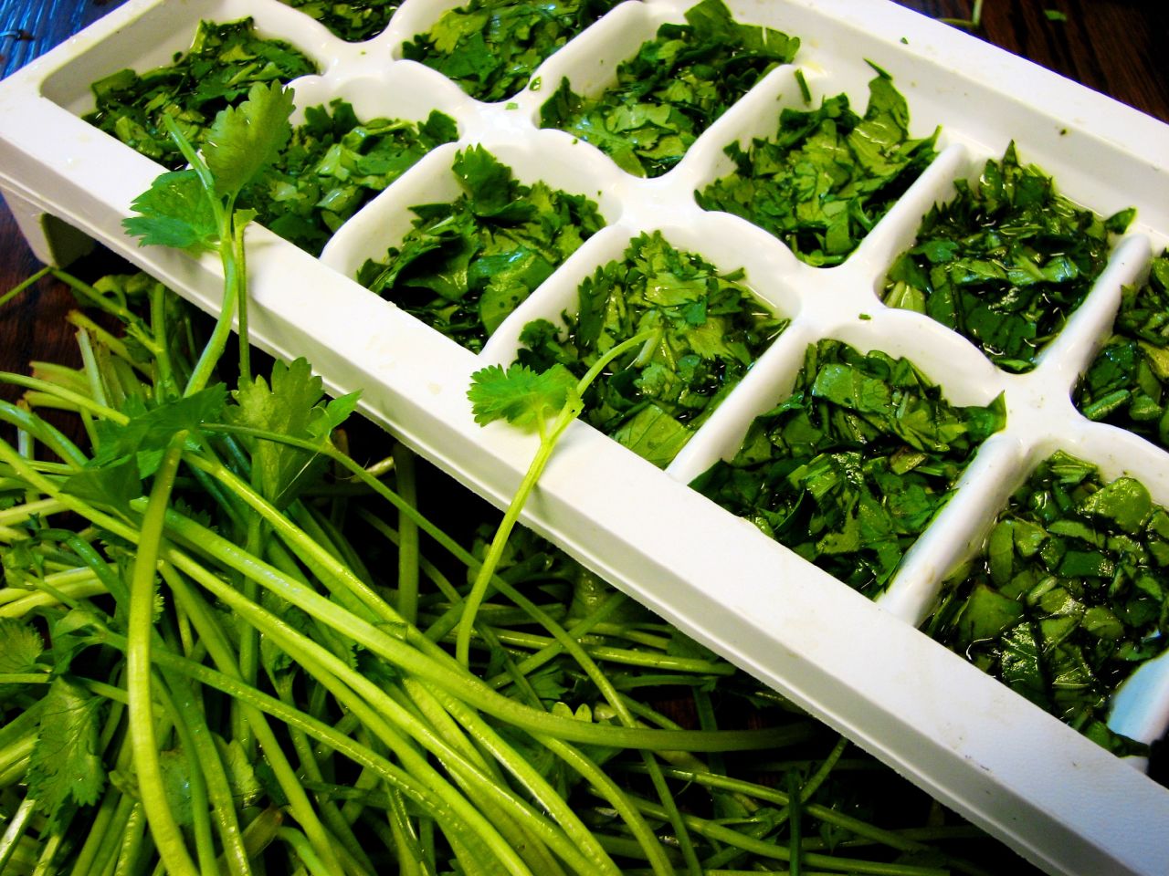 Krizantém: ha ezekre figyelsz, tele lesz virággal