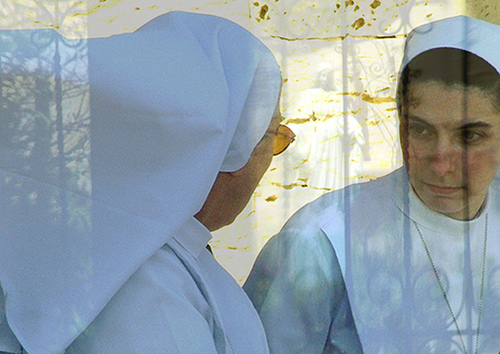 Krizantém: ha ezekre figyelsz, tele lesz virággal