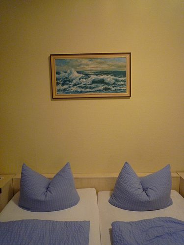 Krizantém: ha ezekre figyelsz, tele lesz virággal