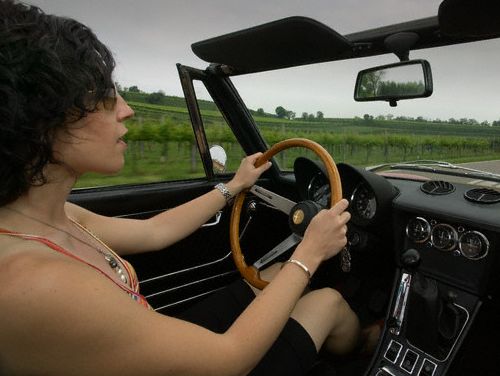 Krizantém: ha ezekre figyelsz, tele lesz virággal