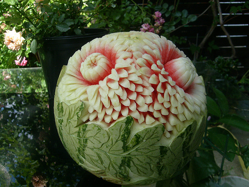 Krizantém: ha ezekre figyelsz, tele lesz virággal