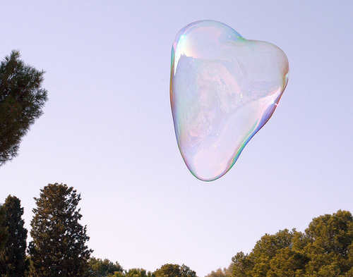 Krizantém: ha ezekre figyelsz, tele lesz virággal