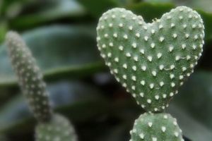 Add nekem! - avagy jó adni?