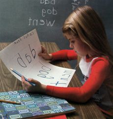 Krizantém: ha ezekre figyelsz, tele lesz virággal