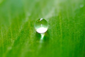 Folttisztítás házi praktikákkal