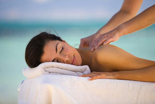 Krizantém: ha ezekre figyelsz, tele lesz virággal