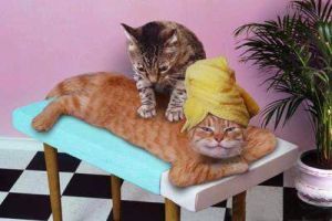 Miért vagyunk csiklandósak?